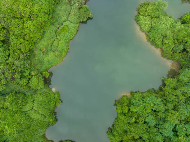 istock Beautiful landscape in forest at the lakeside 1399153576