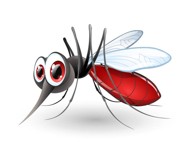 lustiger mosquito cartoon. fliegende insekten - midge stock-grafiken, -clipart, -cartoons und -symbole