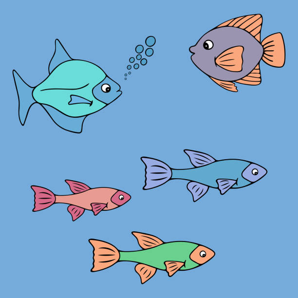 seefisch. bewohner des ozeans und des aquariums. vektorsammlung von illustrationen. isolierter blauer hintergrund. cartoon-stil. - fish prepared fish striped bass sea bass stock-grafiken, -clipart, -cartoons und -symbole