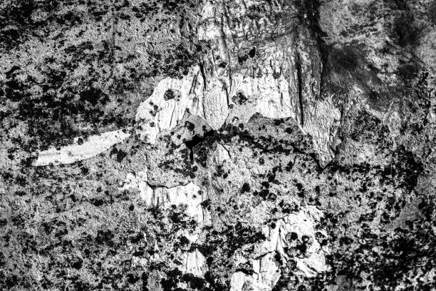 Abstract rough texture for background. Dirty grunge texture for wallpaper design