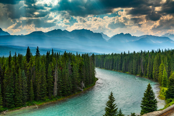 paisaje en canadá - bow valley en el parque nacional banff - pine wood forest river fotografías e imágenes de stock