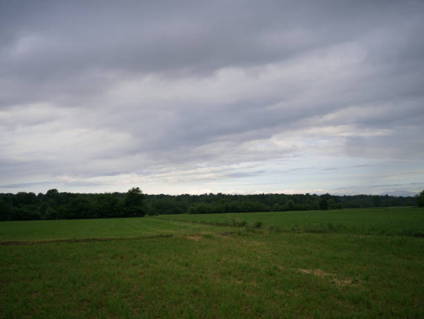 istock park in the morning 1399160251