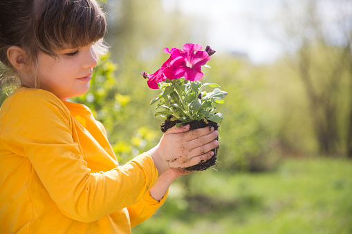 Spring awakening. Enjoying the little things. Dreaming of spring. child with flowers in the garden. Child girl plant flowers in the garden near the home on spring day.