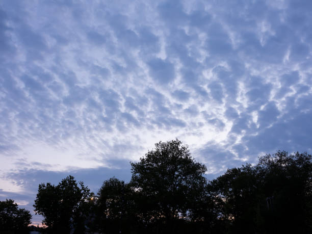 cloudy sky and silhouettes of trees, front view