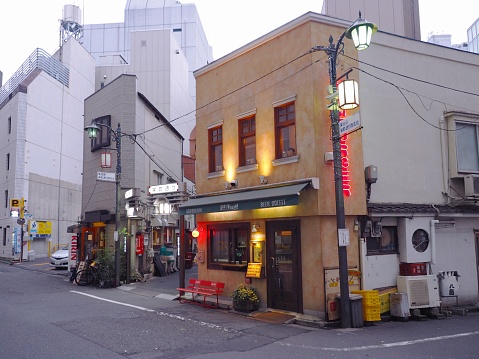 Tokyo,Japan.May 2016:A side street where restaurants dealing with sake are lined up. An alley landscape in a corner of the downtown area.