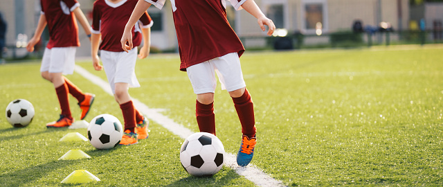 Grass in Soccer Field