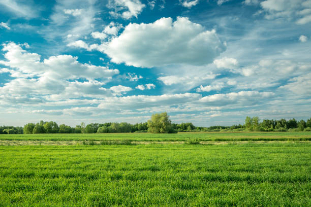 istock Green field and white clouds on a blue sky 1399166609