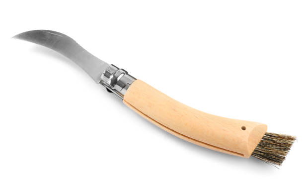 istock Mushroom knife with brush isolated on white 1399168290