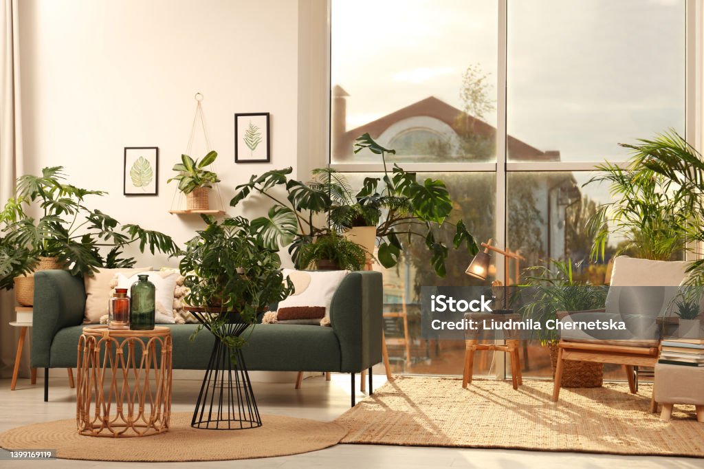 Stylish room interior with different houseplants and furniture near window Apartment Stock Photo