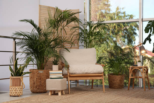 istock Stylish room interior with comfortable armchair and different exotic houseplants 1399169324