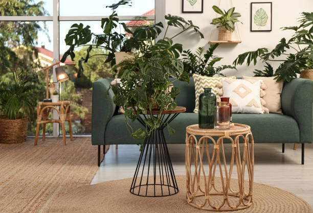 istock Stylish room interior with comfortable sofa and different exotic houseplants 1399169326