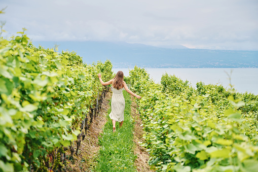 Outdoor landscape portrait of young girl walking in vineyards, wearing long green, dress, back view