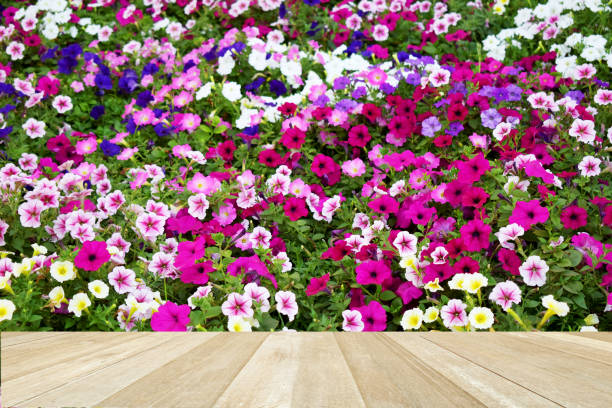 istock Empty top wooden table on soft blurred colorful flowers 1399171513