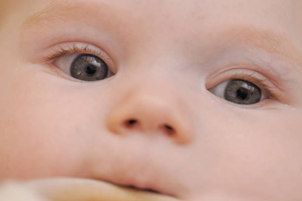 Close Up Of A Southeast Asian Toddler Face, Background for advertising and wallpaper in education and lifestyle scene.