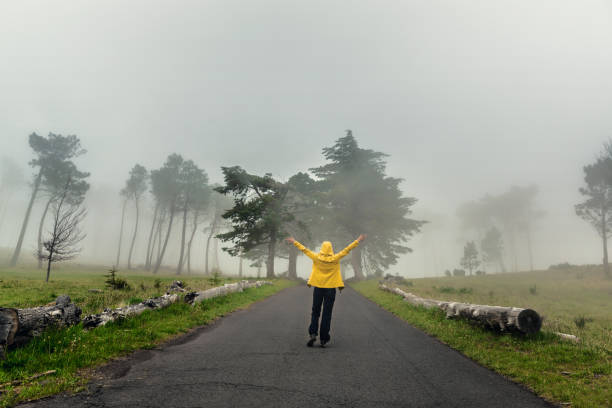 istock Walking on a foggy road 1399172547