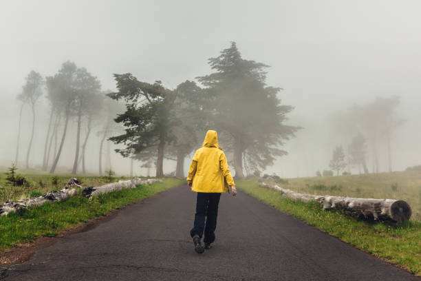 istock Walking on a foggy road 1399172602