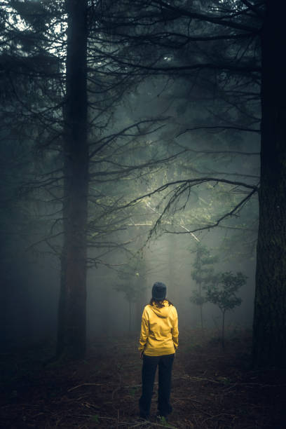 istock Traveler looking to a forest 1399172603