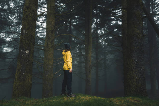 istock Traveler looking to a forest 1399172611
