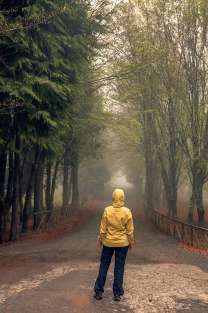 istock Walking on a foggy road 1399172621