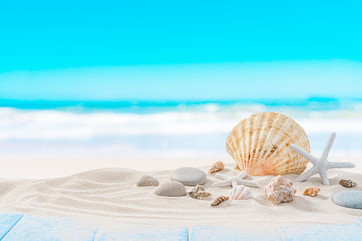 Summer vacations and marine background: starfish, conch shells and sea stones on tropical white sand shot against blue sky and sea background. The composition is at the right of an horizontal frame leaving useful copy space for text and/or logo at the left. High resolution 42Mp digital capture taken with SONY A7rII and Zeiss Batis 40mm F2.0 CF lens
