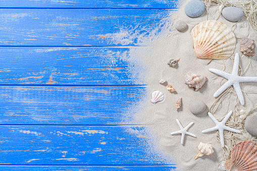Stock photo showing close-up view of a pile of seashells and starfish on the sand on a sunny, golden beach with sea at low tide in the background. Summer holiday and tourism concept.