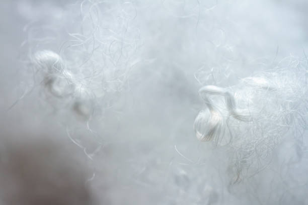 istock Extreme macro of polyester stable fiber 1399175457