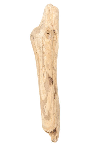 istock Piece of driftwood isolated on white 1399175537