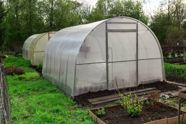 istock greenhouse in the garden 1399176554
