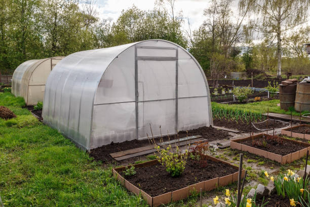 istock greenhouse in the garden 1399176640