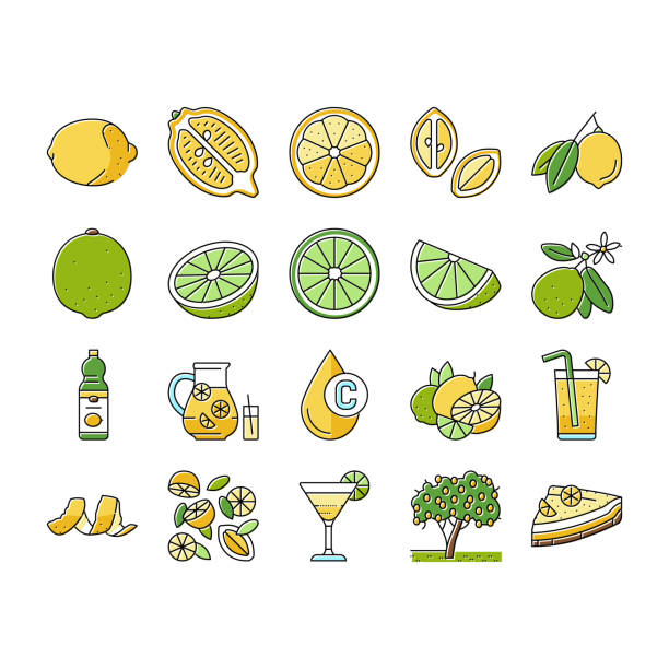 illustrazioni stock, clip art, cartoni animati e icone di tendenza di limone e lime vitamina citrus icons set vector - lime ripe fruit citrus fruit