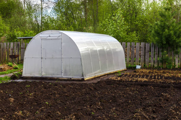 istock greenhouse in the garden 1399177079