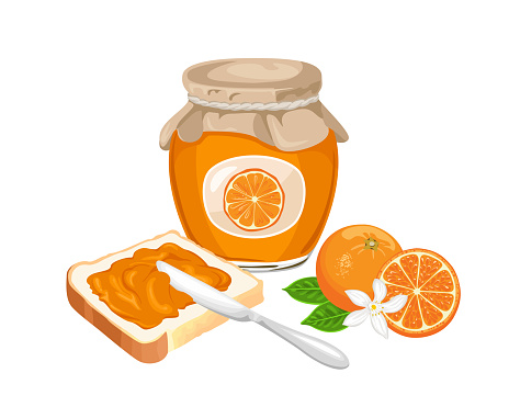 Orange jam set. Spread on piece of toast bread, knife, glass jar with marmalade and fresh citrus fruit isolated on white background. Vector sweet food illustration in cartoon flat style.
