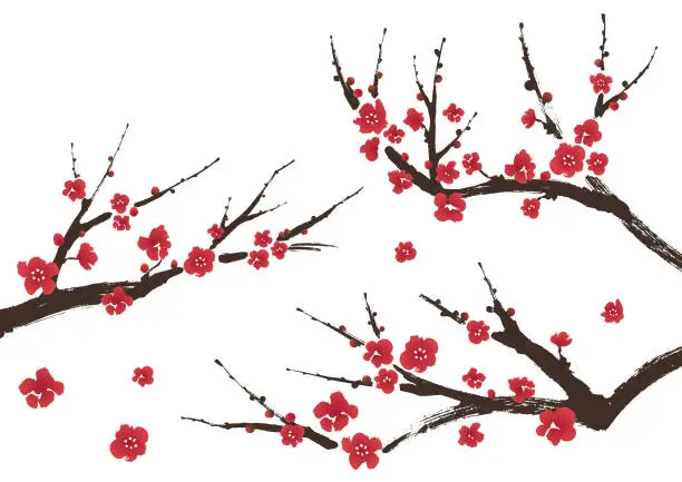 Vector illustration of Plum blossom