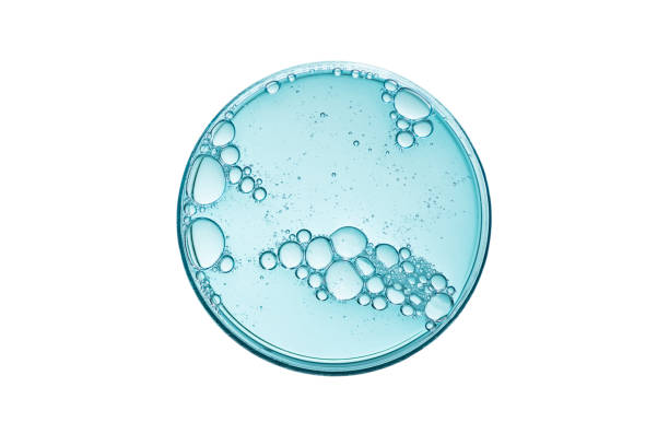 Abstract petri dish with cosmetic or medical liquid isolated on white background top view. Abstract petri dish with cosmetic or medical liquid isolated on white background top view. Science cosmetic laboratory concept. molecule stock pictures, royalty-free photos & images