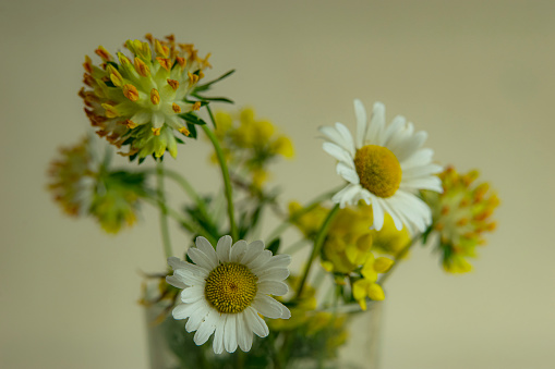 late spring wildflowers in a vase