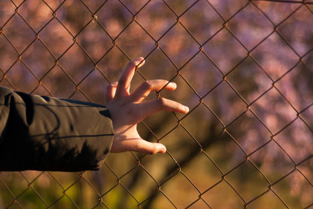 hand on barbed wire metal fence desperate to get out clear horizontal hand on barbed wire metal fence desperate to get out clear horizontal child arrest stock pictures, royalty-free photos & images
