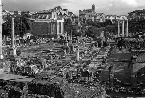The Roman Forum, Rome Looking south over the Roman Forum. To the left you can see the Church of San Lorenzo in Miranda, further off in the distance is the Colosseum. san lorenzo rome photos stock pictures, royalty-free photos & images
