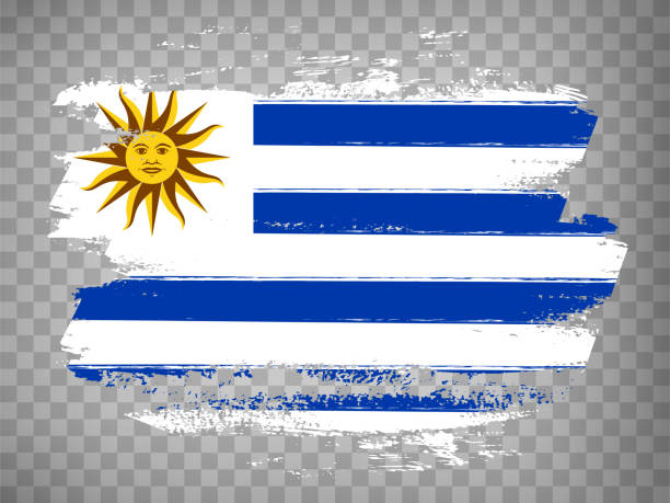 우루과이 브러쉬 스트로크 배경의 국기.  우루과이의 국기 투명한 backrgound에 웹 사이트 디자인, 응용 프로그램, ui에 대한.  스톡 벡터. eps10. - uruguayan flag stock illustrations