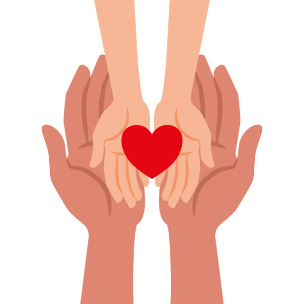 Child Hands in Adult Hands Holding Love Cute Vector Illustration of Child Hands in Adult Hands Holding a Red Heart Shape Representing Love father daughter stock illustrations