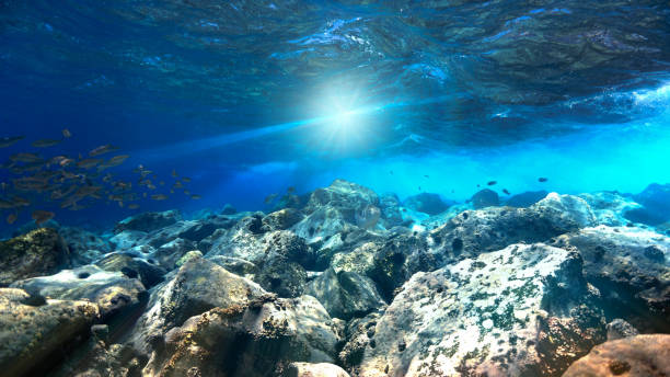 istock Sunlight in beautiful underwater landscape 1399192279