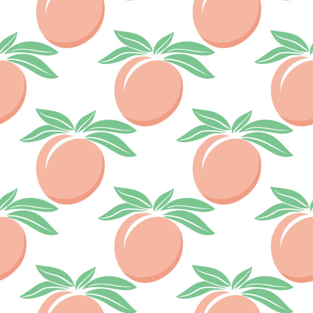soczyste brzoskwinie bezszwowy letni wzór ilustracja wektorowa - nectarine peach backgrounds white stock illustrations