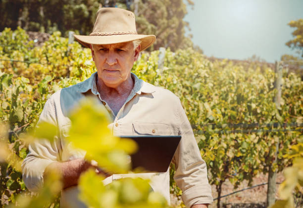 istock One senior caucasian farmer using a digital tablet on his vineyard. Serious elderly man standing alone and browsing while using technology on wine farm in summer. Old farmer with crops and agriculture 1399196374