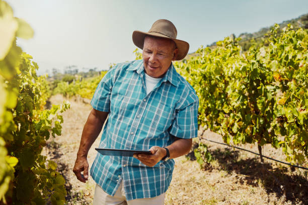 istock Smiling senior mixed race farmer using a digital tablet on his vineyard. Elderly hispanic man standing alone and using technology on a wine farm in summer. Happy farmer with his crops and agriculture 1399196397