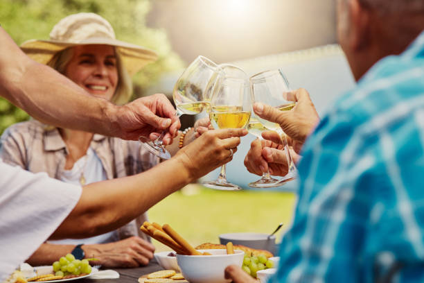 diverse group of friends toasting with wineglasses on vineyard. happy group of people sitting together and bonding during wine tasting on farm over a weekend. friends enjoying white wine and alcohol - winetasting imagens e fotografias de stock