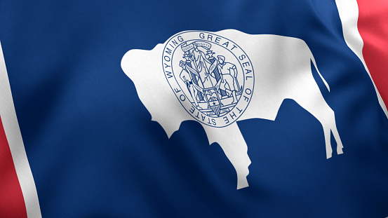 Wyoming State Flag, 3D Render