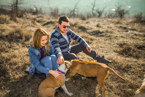 istock Couple playing with two dogs on the hill 1399199385