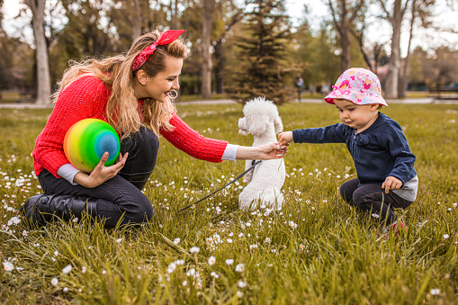 Mother and daughter playing in park with dog