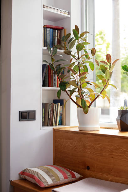 cozy corner with books near the window