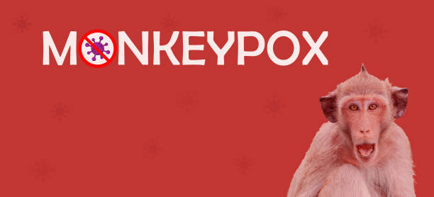 Monkeypox outbreak concept. Monkeypox is caused by monkeypox virus. Monkeypox is a viral zoonotic disease. Virus transmitted to humans from animals. Monkeys may harbor the virus and infect people. concepto de brote de viruela del mono. la viruela del mono es causada por el virus de la viruela del mono. la viruela del mono es una enfermedad zoonótica viral. virus transmitido a los humanos a partir de animales. los monos pueden albergar el virus e in