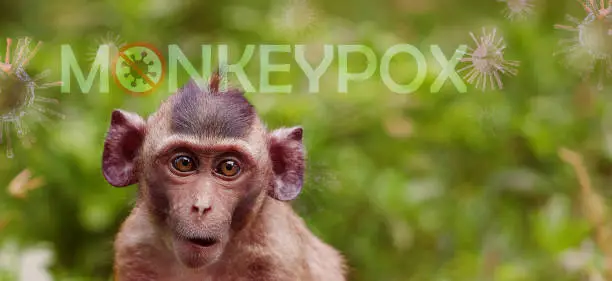 Photo of Monkeypox outbreak concept. Monkeypox is caused by monkeypox virus. Monkeypox is a viral zoonotic disease. Virus transmitted to humans from animals. Monkeys may harbor the virus and infect people.
